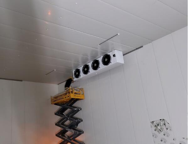 辣椒保鮮庫建造流程有哪些?_開冉制冷