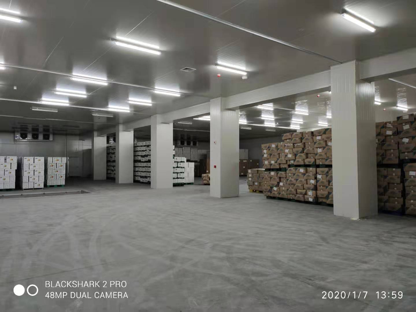 49500m3洽洽食品加工冷庫 49500m3洽洽食品加工冷庫