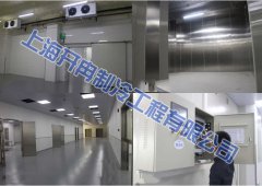 上海赤坂亭餐飲1400平食品配送冷庫(kù)工程(-60℃)金槍魚(yú)庫(kù)